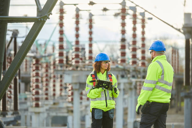 Best Electric Panel Repair  in Ridge, NY