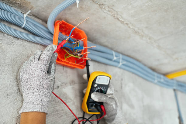 Best Ceiling Fan Installation Electrician  in Ridge, NY